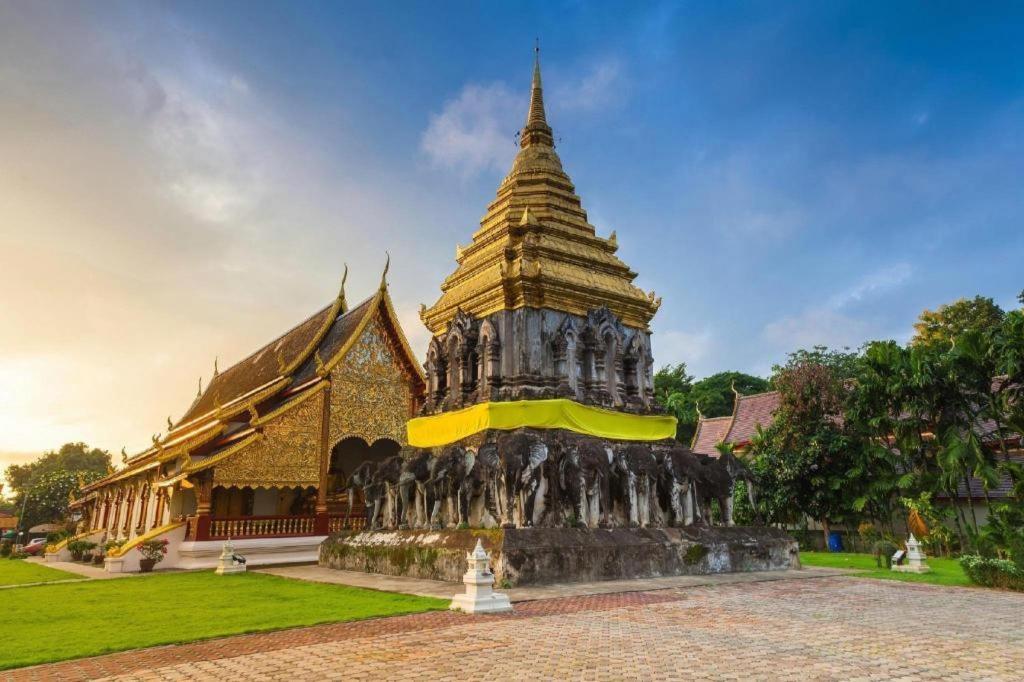 The Y House Otel Chiang Mai Dış mekan fotoğraf
